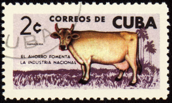 牛帖子邮票