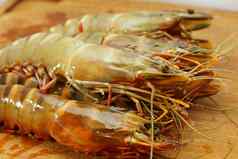 大新鲜的老虎虾王虾虾