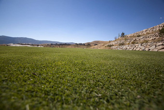 高尔夫球绿色草清晰的蓝色的天空