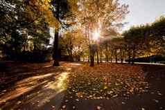 色彩斑斓的秋天秋天公园