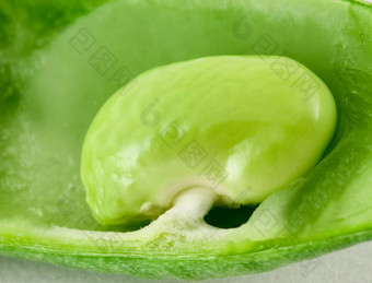 绿色豆荚