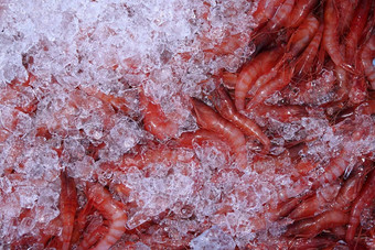 冰地中海虾市场