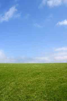 绿色草地地平线蓝色的天空
