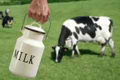 牛奶能农民手牛草地