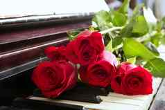 经典红色的玫瑰计划古董浪漫的情人节