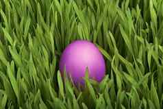 复活节蛋隐藏的草