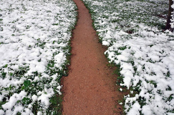 雪道路