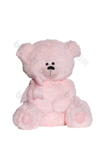 玩具粉红色的熊