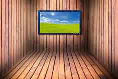 宽屏幕电视木房间
