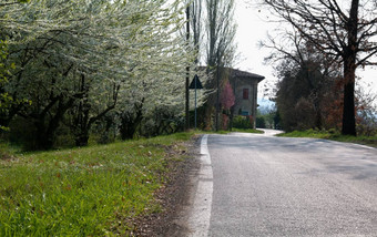 开花树关闭路