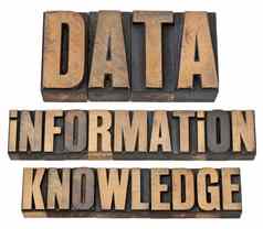 数据信息知识木类型