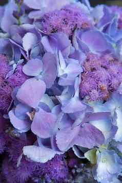 色彩斑斓的紫色的新娘花束花
