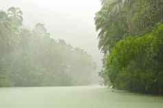 热带雨河