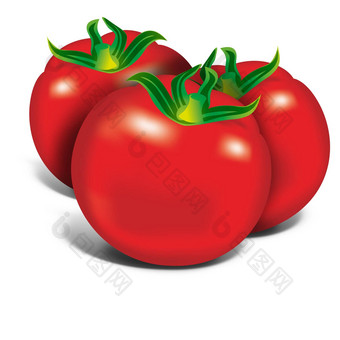 红色的Tomatos