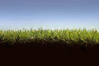 交叉部分草坪上显示草地面水平