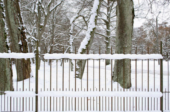 生锈的金属栅栏雪公园树树干冬天