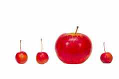 大小红色的苹果孤立的白色