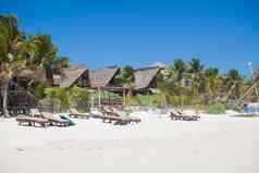奢侈品酒店热带度假胜地海洋海岸棕榈树