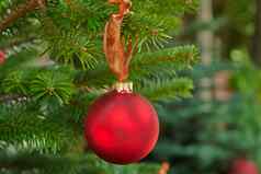 圣诞节装饰球树