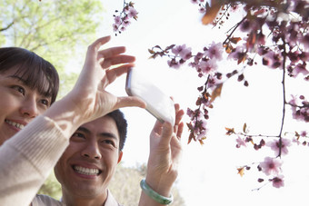 微笑夫妇采取照片分支樱桃花朵公园春天