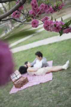 花朵前景年轻的夫妇说谎毯子野餐模糊背景