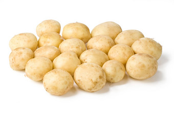 群土豆