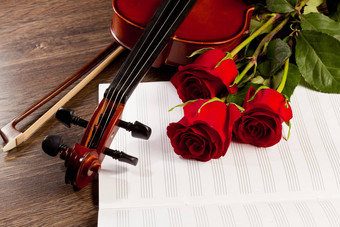 红色的玫瑰小提琴