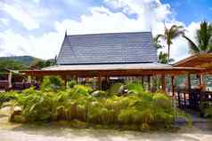 热带海滩房子椰子棕榈树