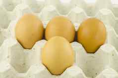 鸡蛋面板鸡蛋