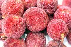 红色的月桂树的果实水果