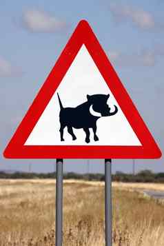 危险疣猪路标志纳米比亚