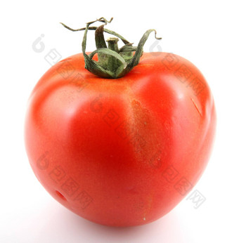 番茄孤立的白色