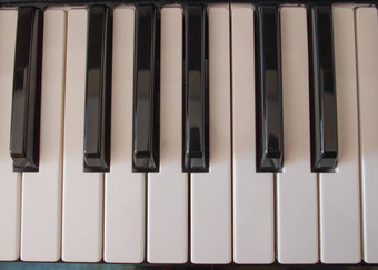 音乐键盘键