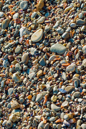 海卵石