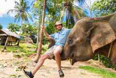 elephan提升旅游