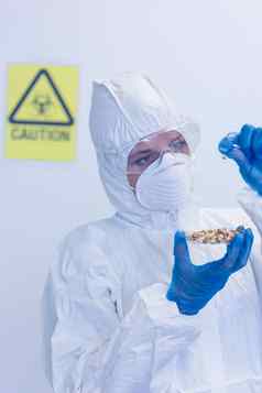 科学家保护西装豆芽实验室