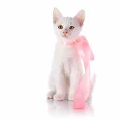 白色小小猫粉红色的磁带