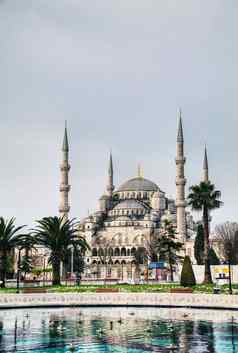 苏丹ahmed清真寺蓝色的清真寺伊斯坦布尔