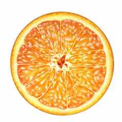 多汁的橙色交叉部分横断橙色白色背景