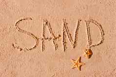 词写海滩沙子海星