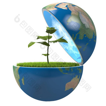 植物内部地球