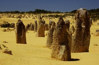 尖塔沙漠澳大利亚
