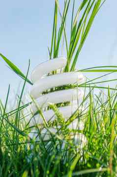 白色生态灯泡绿色草