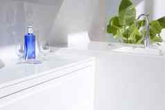 白色现代厨房蓝色的水瓶植物