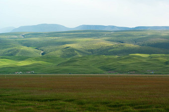 山坡上牧场