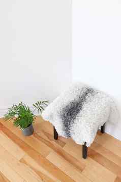 绿色植物凳子覆盖羊皮房间角落里