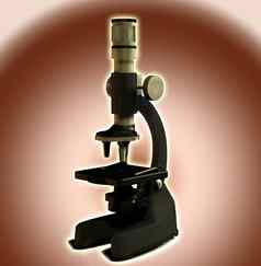 显微镜