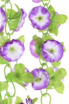 人工紫色的花