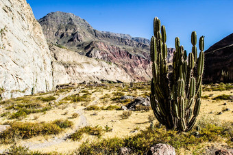 秘鲁cotahuasi峡谷关键词最深的峡谷