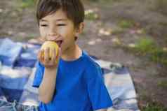 可爱的年轻的男孩吃水果公园